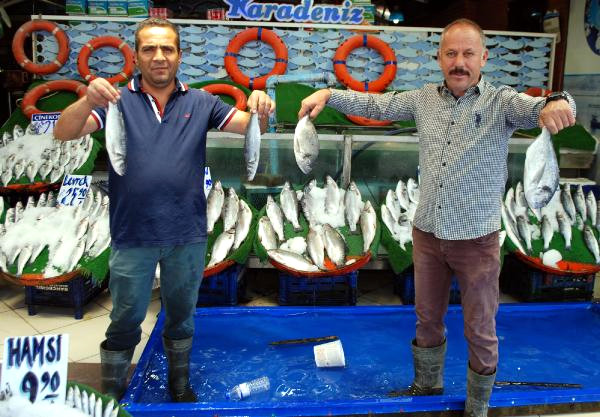 Kurban Bayramı Balık Satışlarını Düşürdü