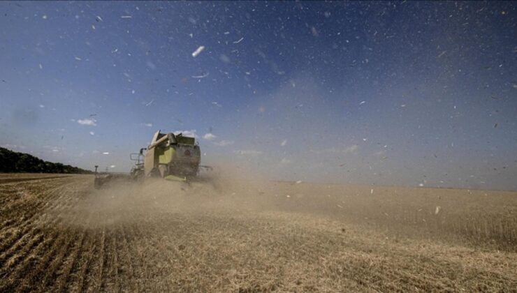 AB Ukrayna’dan tahıl ithalatını sürdürmeye çalışıyor