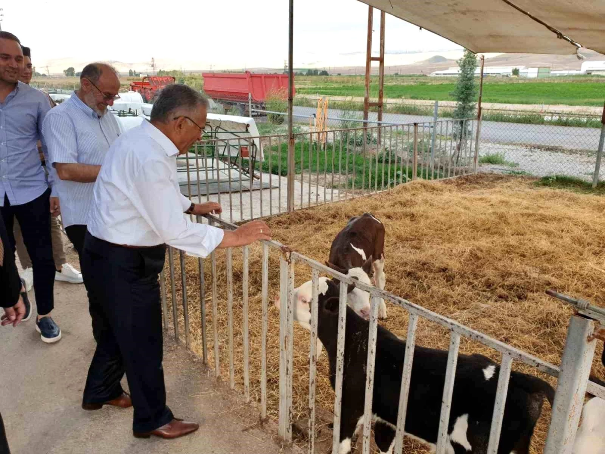 Kayseri Büyükşehir Belediyesi Tarım ve Hayvancılığa 500 Milyon TL Yatırım Yaptı