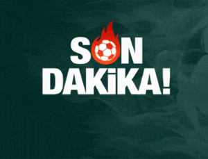 Filenin Sultanları çeyrek finalde!