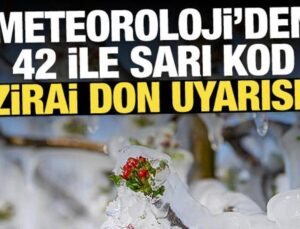 Zirai don uyarısı geldi: Meteoroloji’den 42 ile sarı kod!